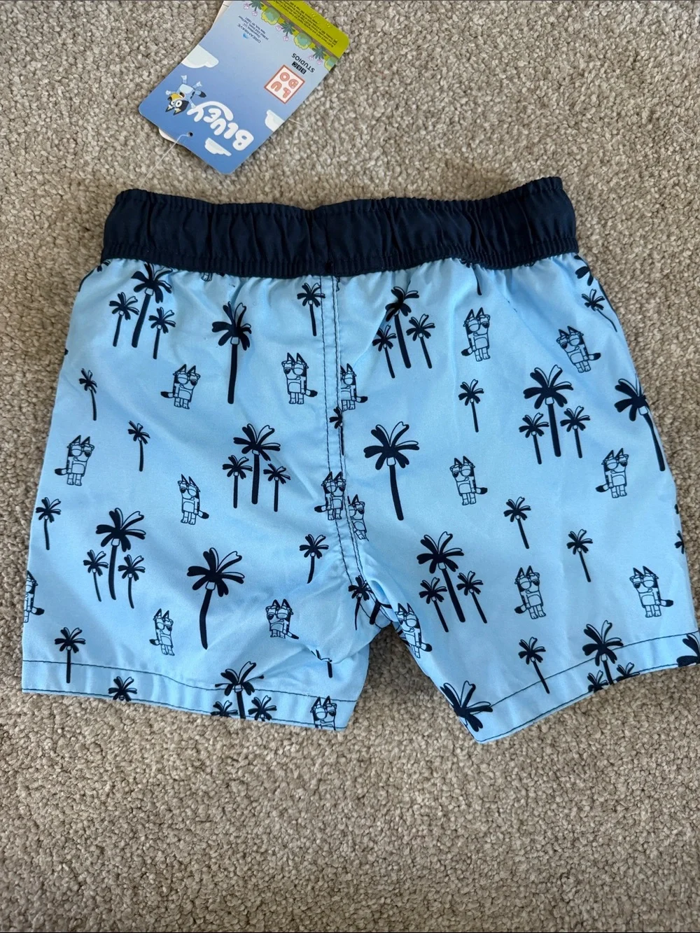 NWT Boys Bluey Swim Trunks with Lining size 2T